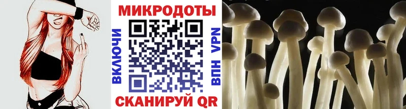 Галлюциногенные грибы Cubensis  hydra ONION  Арзамас 